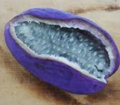 NHO TÍM NHẬT