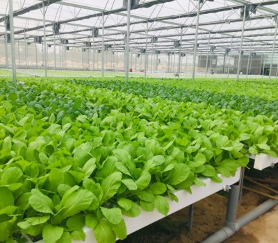 NÔNG NGHIỆP SẠCH LÀ GÌ?