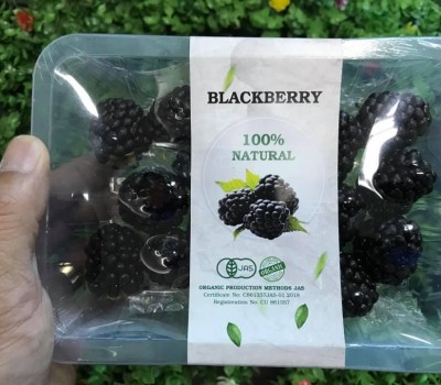 PHÚC BỒN TỬ ĐEN ORGANIC