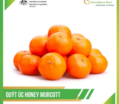 QUÝT ÚC HONEY MURCOTT