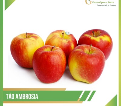 TÁO AMBROSIA