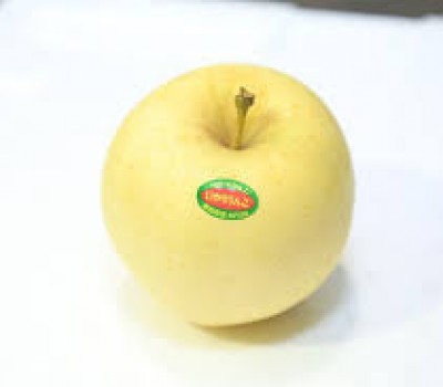 TÁO VÀNG KINSEI NHẬT BẢN 