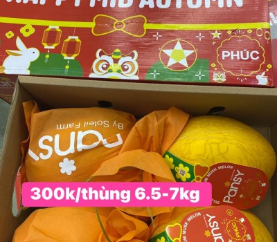 THÙNG DƯA PANSY AN TOÀN 4 TRÁI 