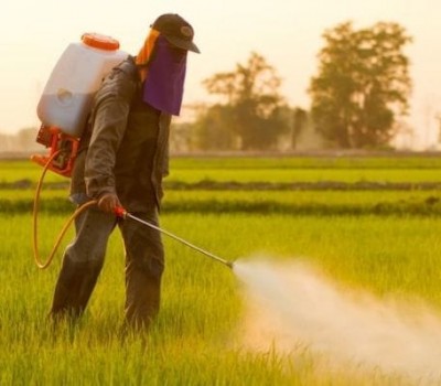 THUỐC TRỪ SÂU: MỐI NGUY HIỂM CHO SỨC KHỎE 